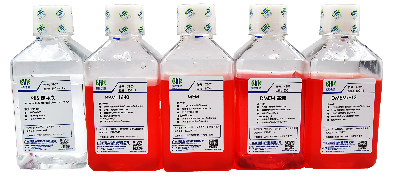 实操详解丨贴壁细胞的培养方法④细胞复苏