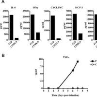 国产ELISA试剂盒48Tkit