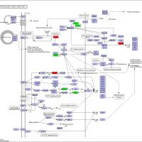 非标定量(Label-free)