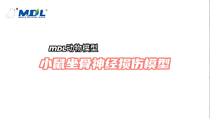 丁香实验推荐阅读