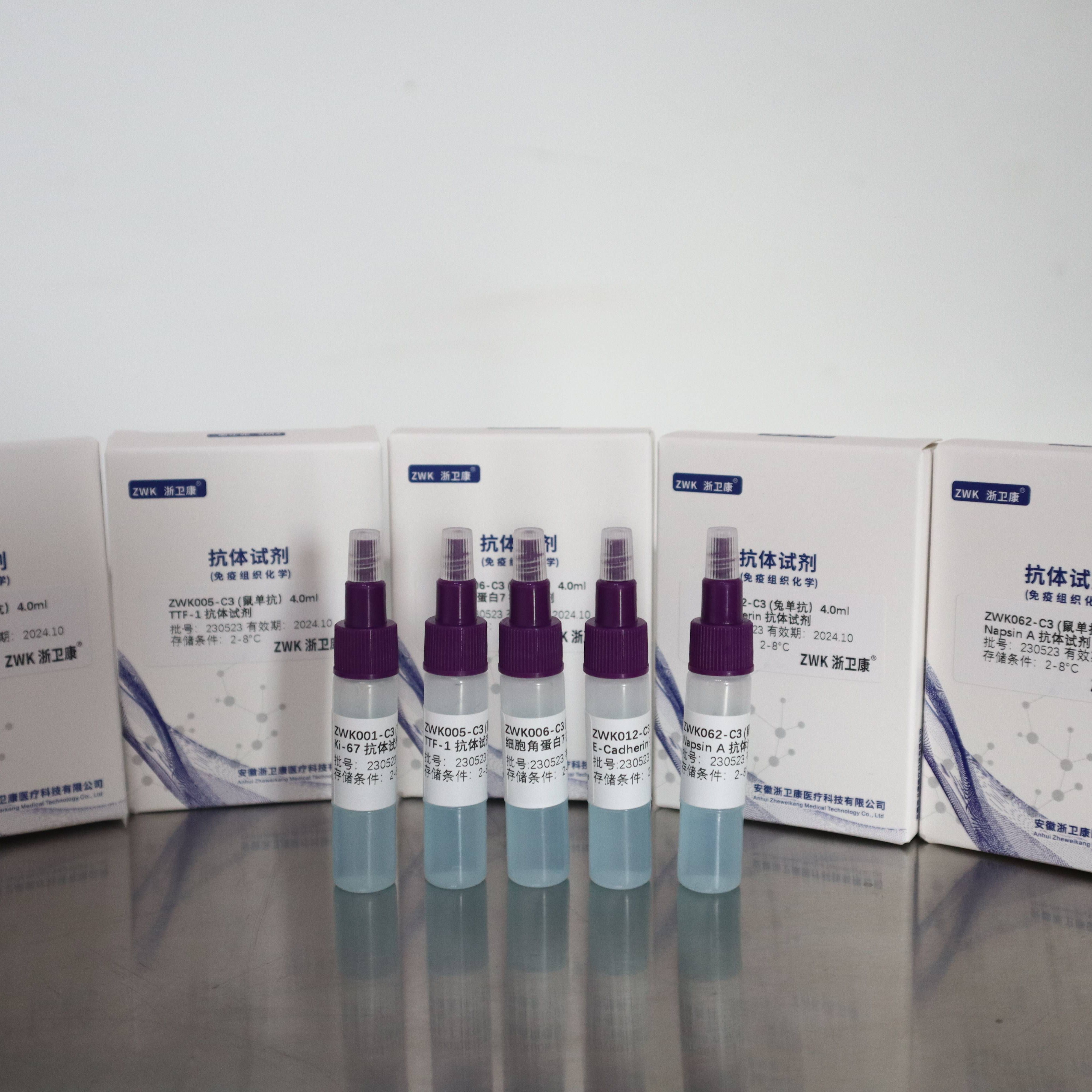 细胞角蛋白5&6抗体试剂（免疫组织化学）