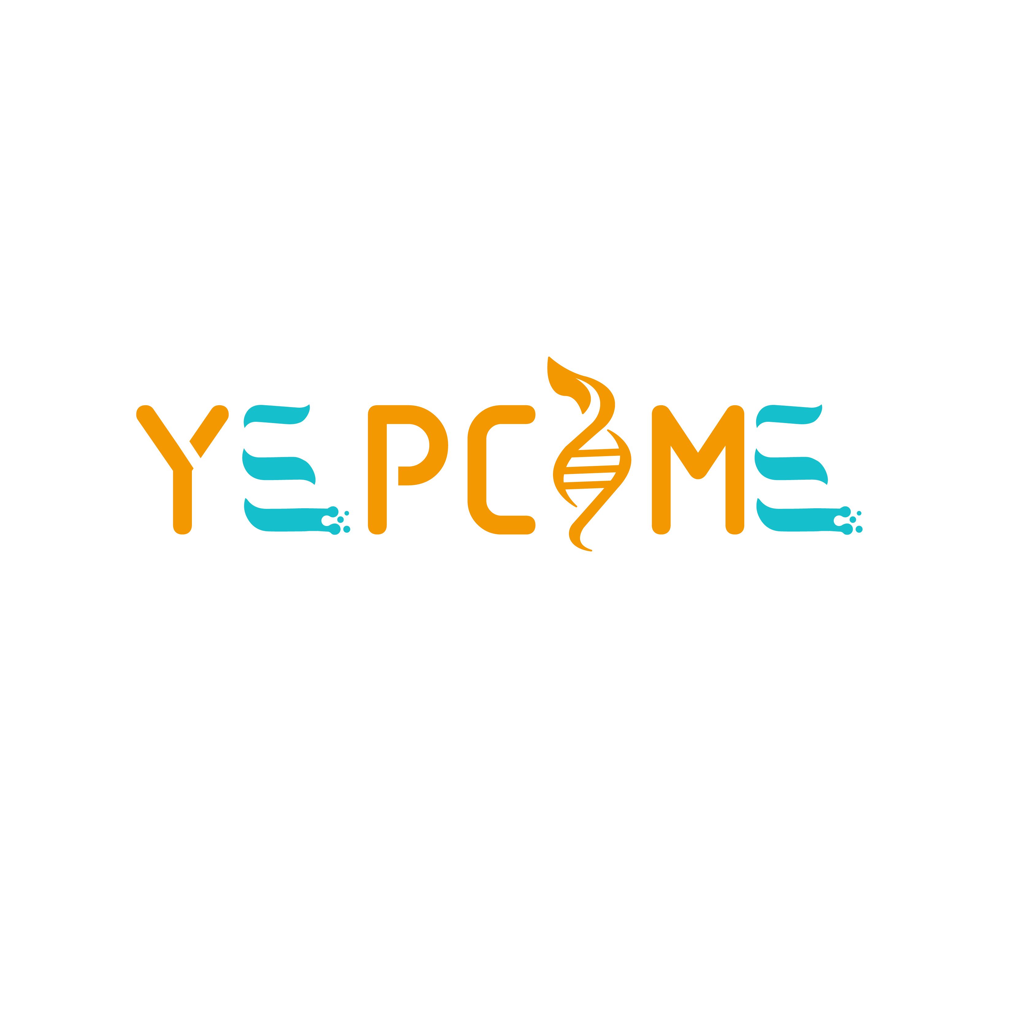 人恶性非霍奇金淋巴瘤患者自然杀伤细胞系