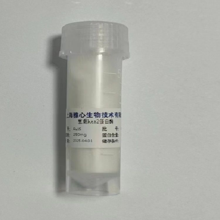 重组Kex2蛋白酶YSCF蛋白酶