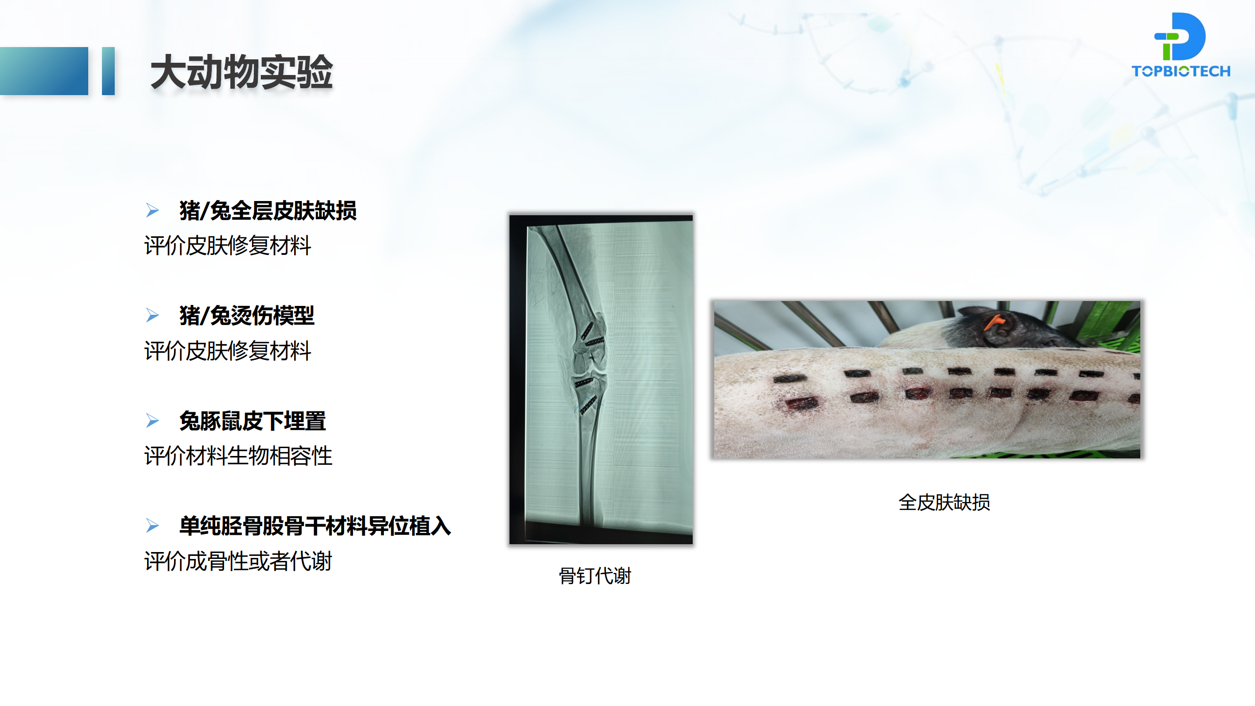 新闻图片5