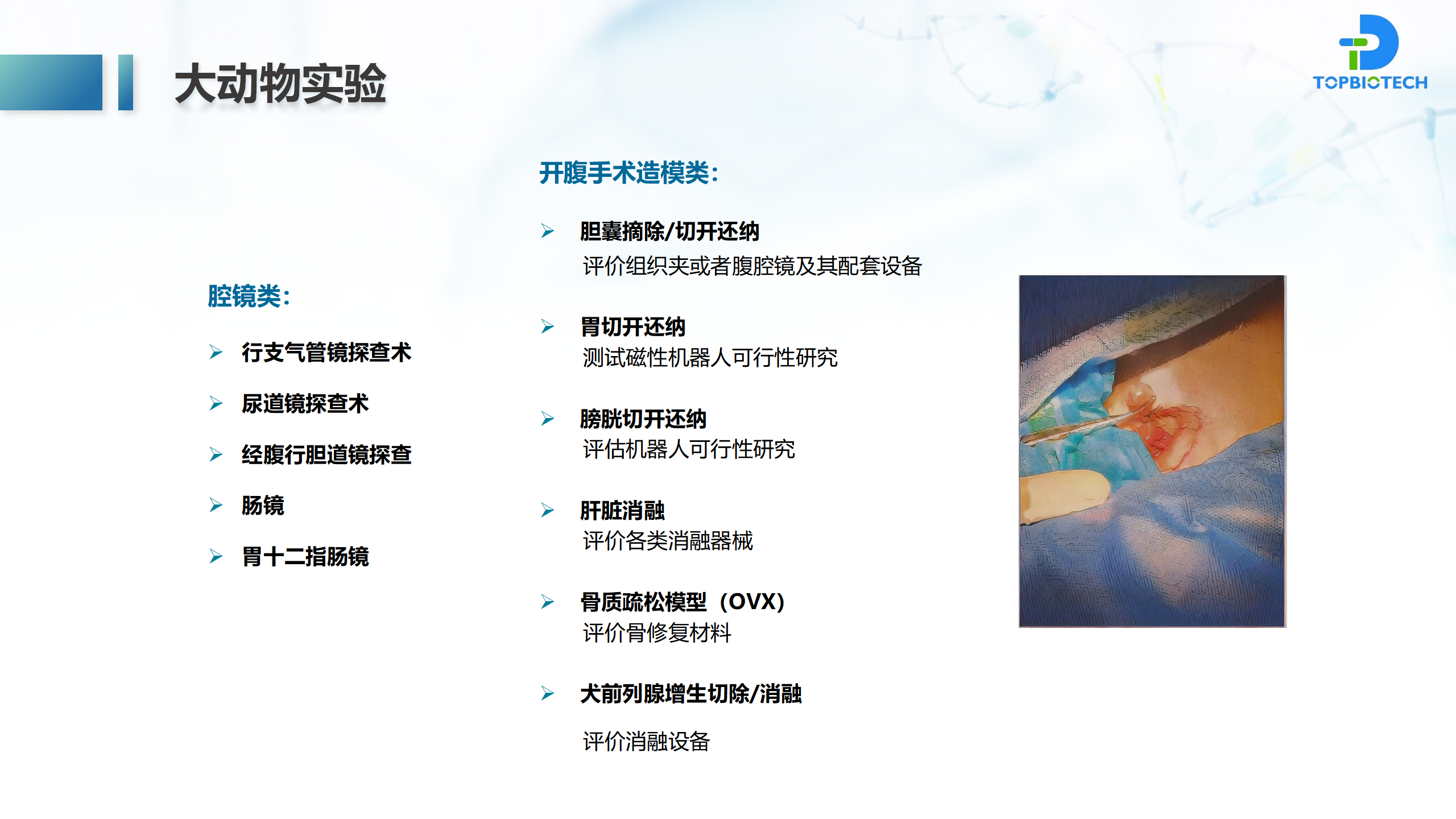 新闻图片6