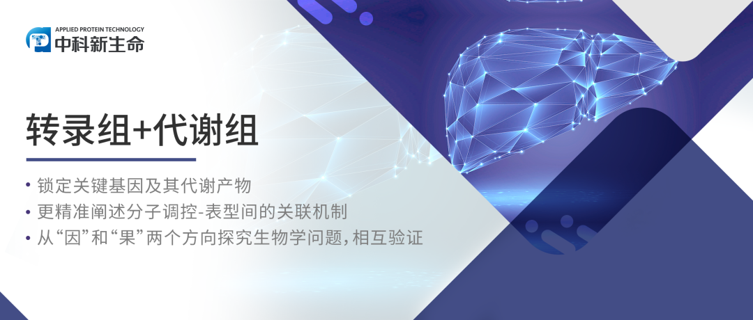 项目文章Nat Commun（IF 17.69）| 重庆医科大学附属第二医院发现糖异生关键酶PCK1调控代谢相关脂肪肝的新机制