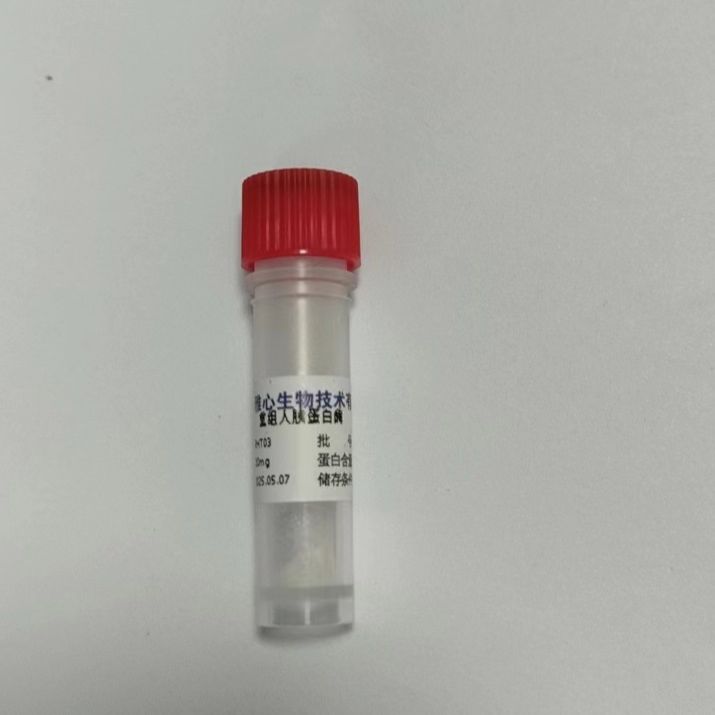 重组人胰蛋白酶-上海雅心生物