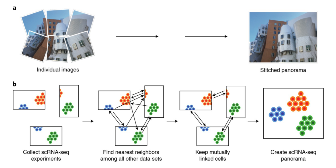 单细胞分析雕刻师--常见整合方法比较（三）