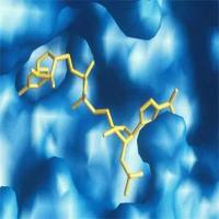 Recombinant Human SRC