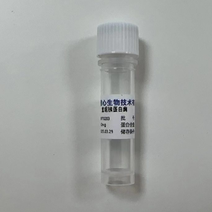 序列分析纯胰蛋白酶(固体)≥ 4500 USP units/mg pro.