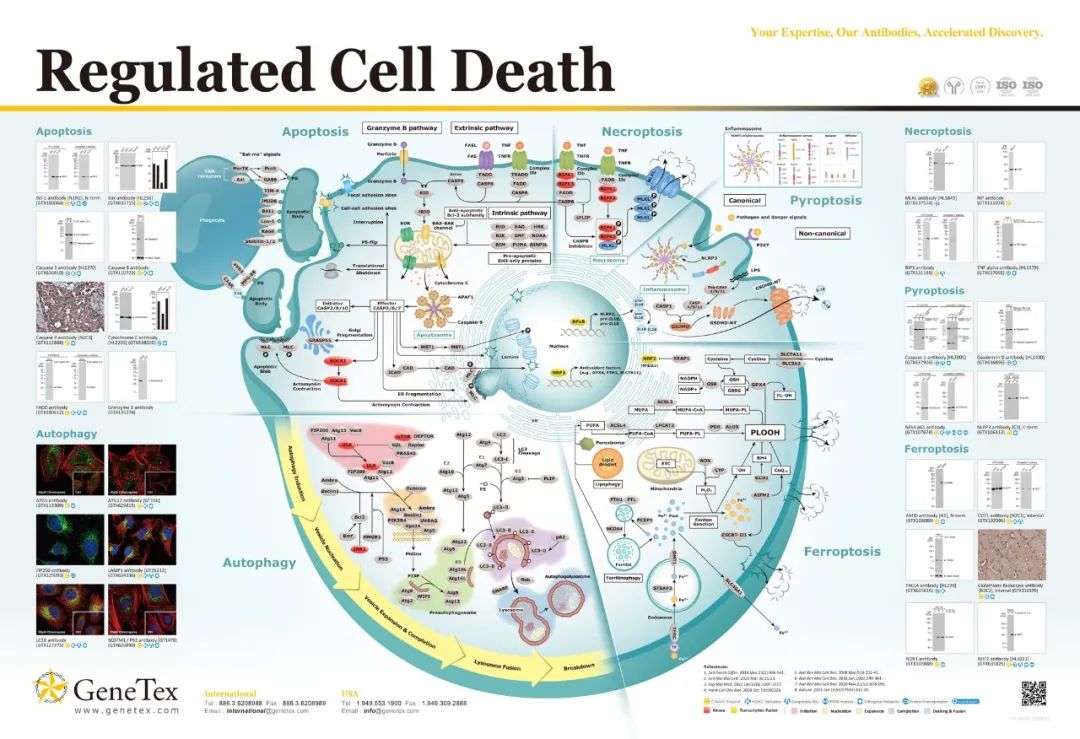 技术资料图片17