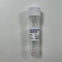 重组胰蛋白酶 3800USP u/mg