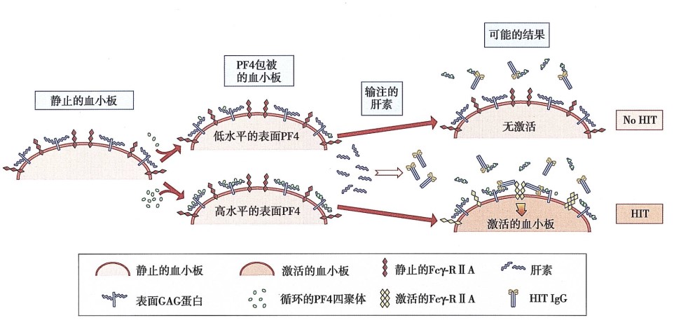 图片预览