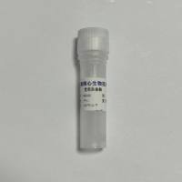 Recombinant Enterokinase