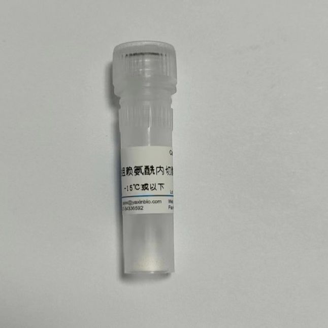 重组赖氨酰胺内切酶