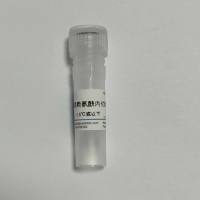 重组赖氨酰胺内切酶