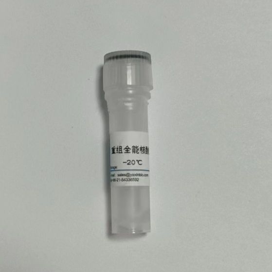 重组全能核酸酶