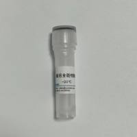 重组全能核酸酶