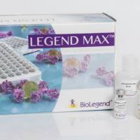 MojoSort™ Human CD4 Memory T Cell Isolation Kit