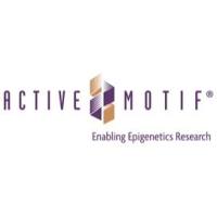 Recombiniant PCMTD2  protein 重组蛋白 PCMTD2 81456