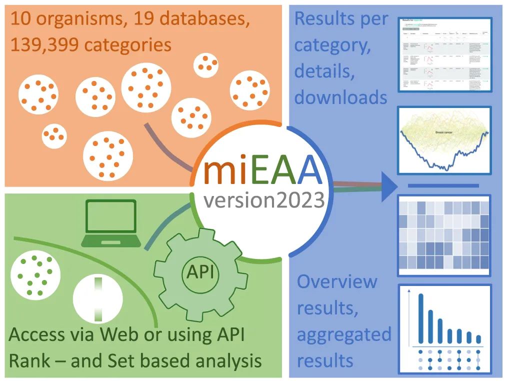 miRNA研究进展盘点丨20230522期