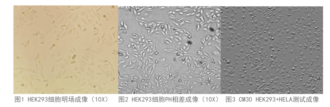 新闻图片3