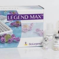 Brilliant Violet 711™ anti-human TCR α/β