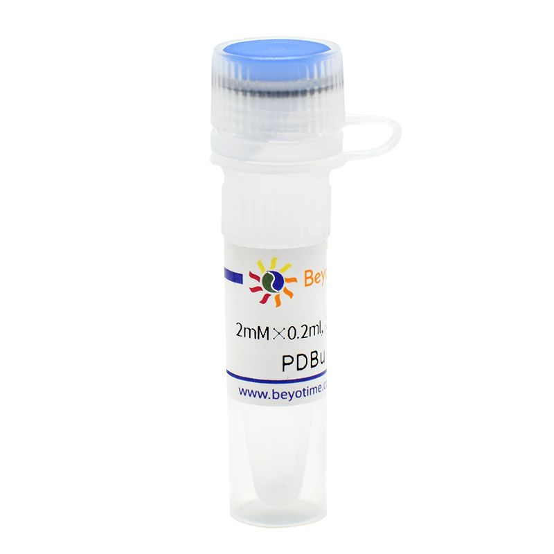 PDBu (PKC激活剂)