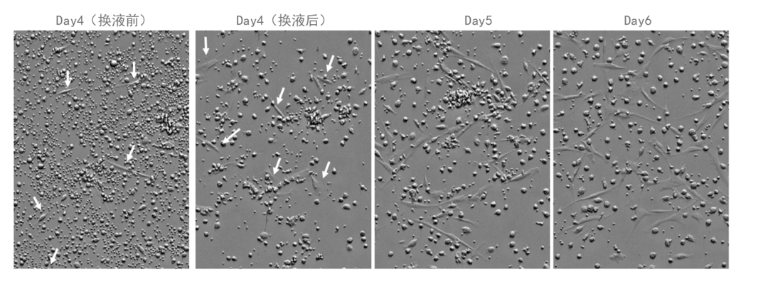 新闻图片11