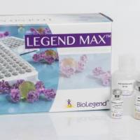 PE anti-human Folate Receptors α and β (FR-αβ)