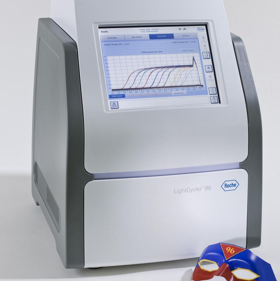 荧光实时定量PCR（qPCR）