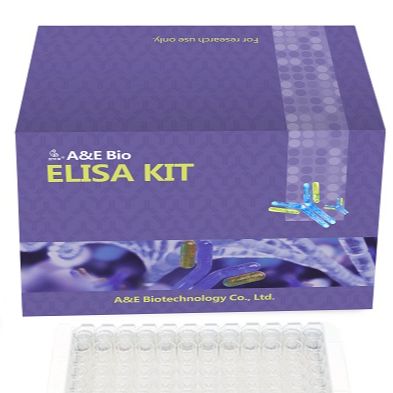 人血管内皮细胞生长因子C(VEGF-C)ELISA Kit