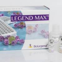 Spark YG™ 570 anti-mouse F4/80