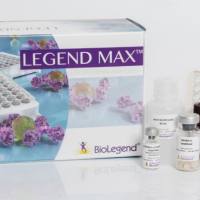 PE anti-human CD266 (Fn14, TWEAK Receptor)