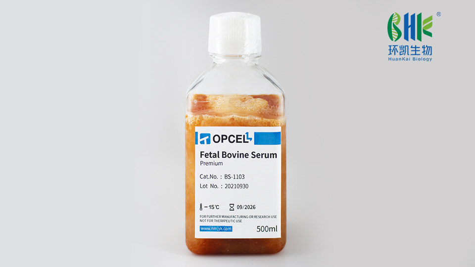 胎牛血清采购注意事项！从5方面入手区分好血清~