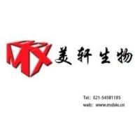 大鼠肾静脉平滑肌细胞
