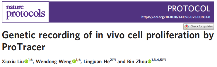 Nature Protocols | 南模生物助力揭示检测细胞增殖的新方法
