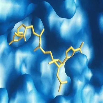 Recombinant Human Flt3 ligand