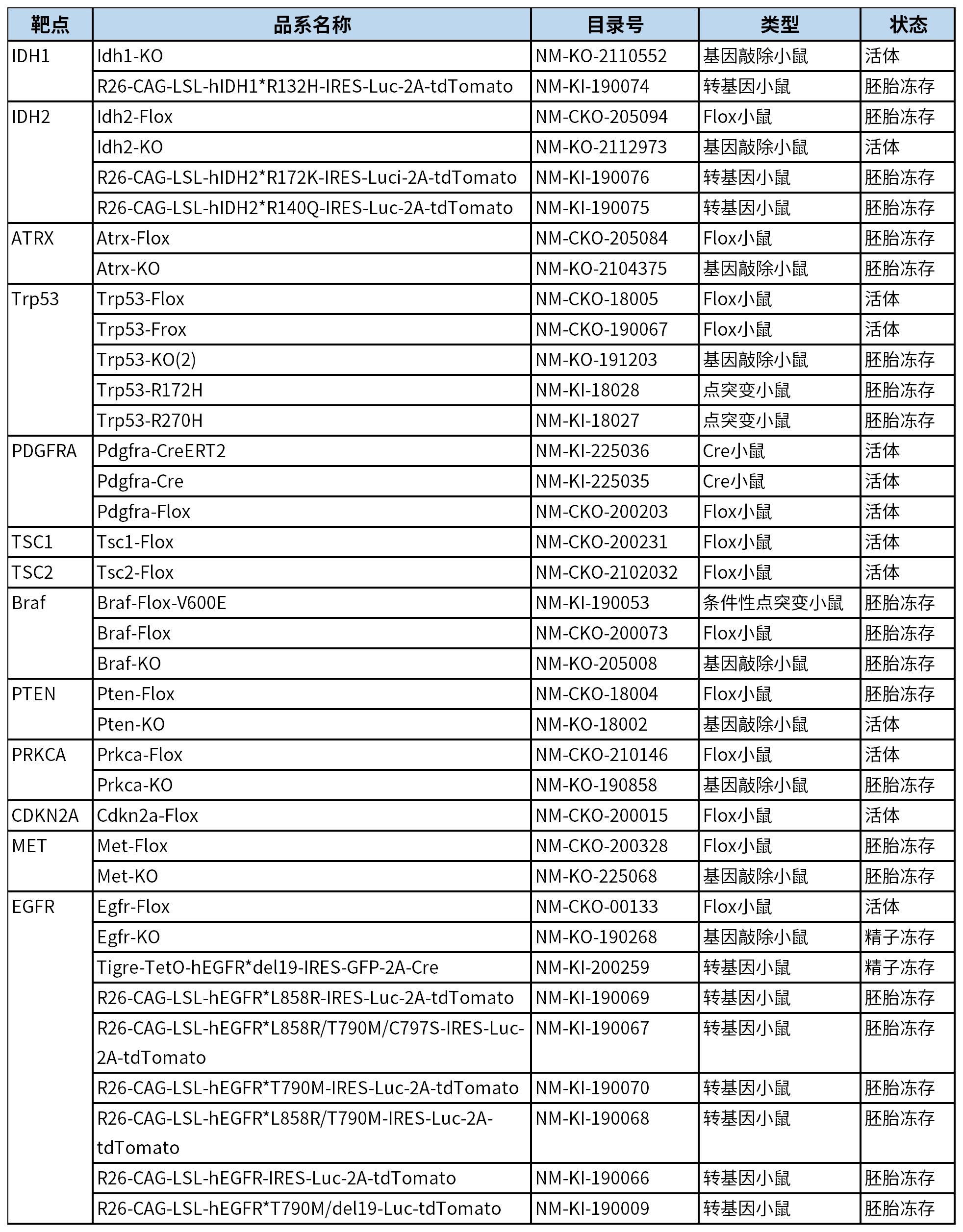 世界脑肿瘤日 | 关爱脑部健康