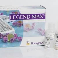 ELISA Wash Buffer (20X)