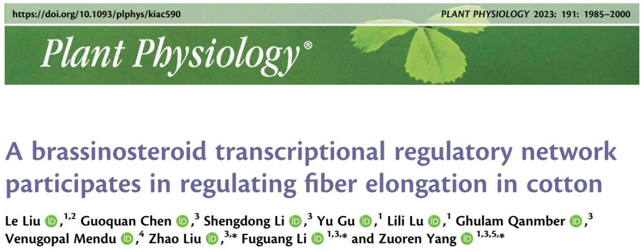 参与调控棉花纤维伸长的油菜素内脂转录调控网络