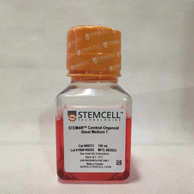 Stemcell 08570 STEMdiff™ Cerebral Organoid Kit