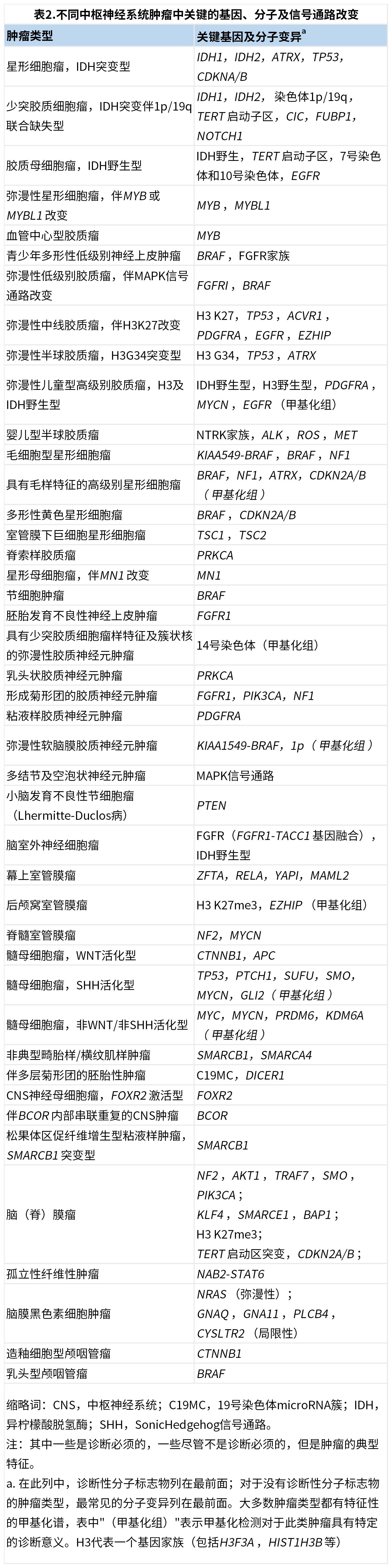 世界脑肿瘤日 | 关爱脑部健康