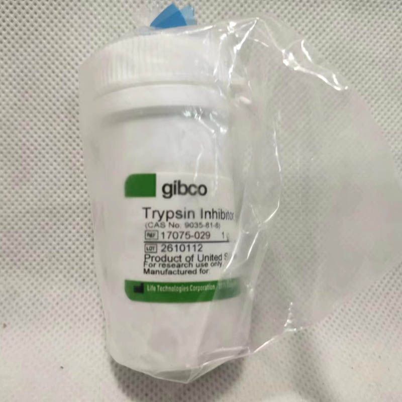 Gibco17075-029大豆胰蛋白酶抑制剂，粉末1g