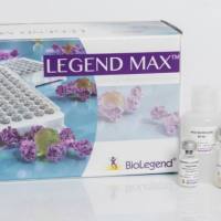 PE/Cyanine7 anti-mouse CD62L