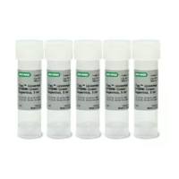 伯乐Bio-Rad 1725124 iTaq Universal SYBR Green混合液