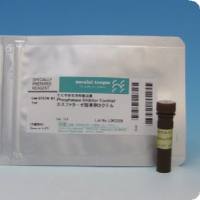 Acetylcholine Chloride