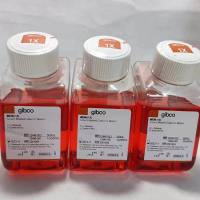 Gibco12440-053 IMDM培养基500ml