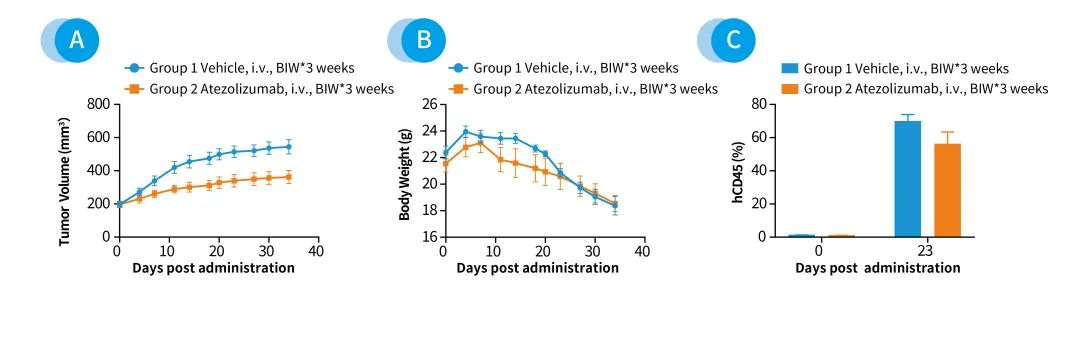 南模生物肿瘤药效平台 为您提供完美的临床前解决方案