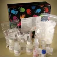 Thermo Scientific 26149 Pierce™免疫共沉淀试剂盒50T